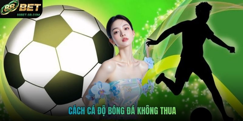Cách Cá Độ Bóng Đá Không Thua