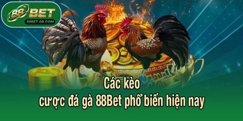 Các kèo cược đá gà 88Bet phổ biến hiện nay