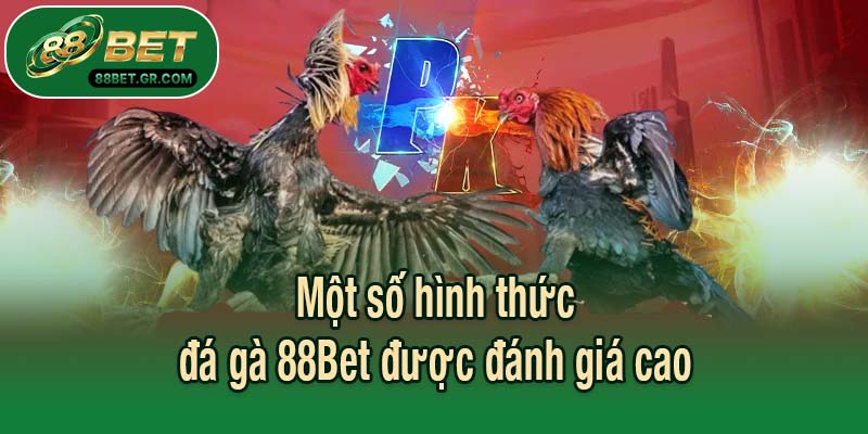 Một số hình thức đá gà 88Bet được đánh giá cao