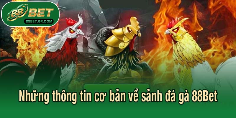 Những thông tin cơ bản về sảnh đá gà 88Bet