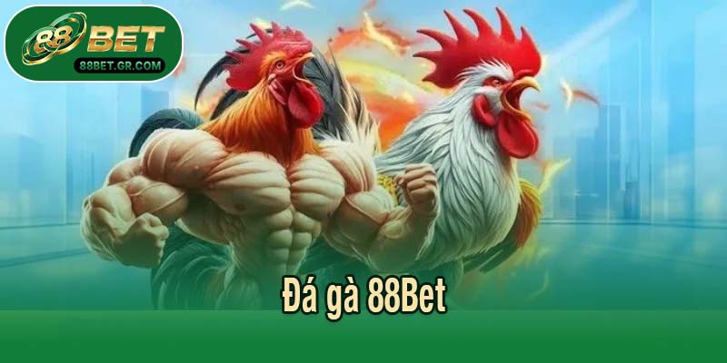 Đá gà 88Bet