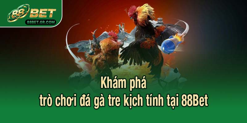 Khám phá trò chơi đá gà tre kịch tính tại 88Bet