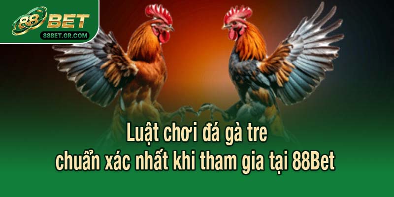 Luật chơi đá gà tre chuẩn xác nhất khi tham gia tại 88Bet 