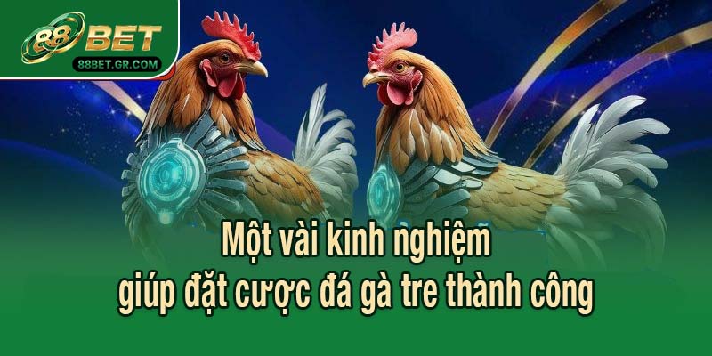 Một vài kinh nghiệm giúp đặt cược đá gà tre thành công