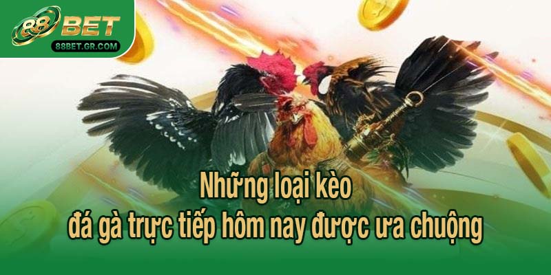 Những loại kèo đá gà trực tiếp hôm nay được ưa chuộng