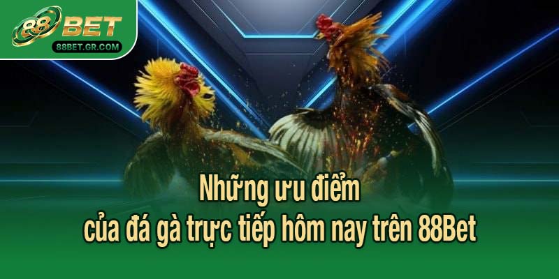 Những ưu điểm của đá gà trực tiếp hôm nay trên 88Bet