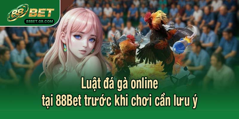 Luật đá gà online tại 88Bet trước khi chơi cần lưu ý
